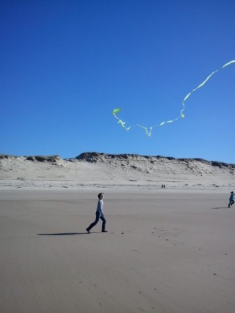 Cerf-volant à la Plage du Pin Sec